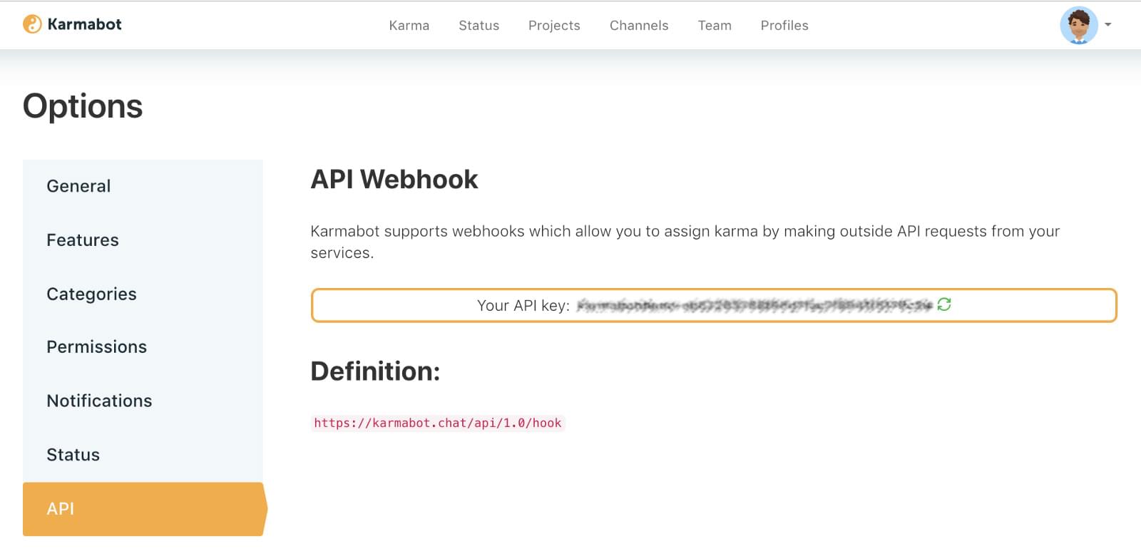 API options screenshot