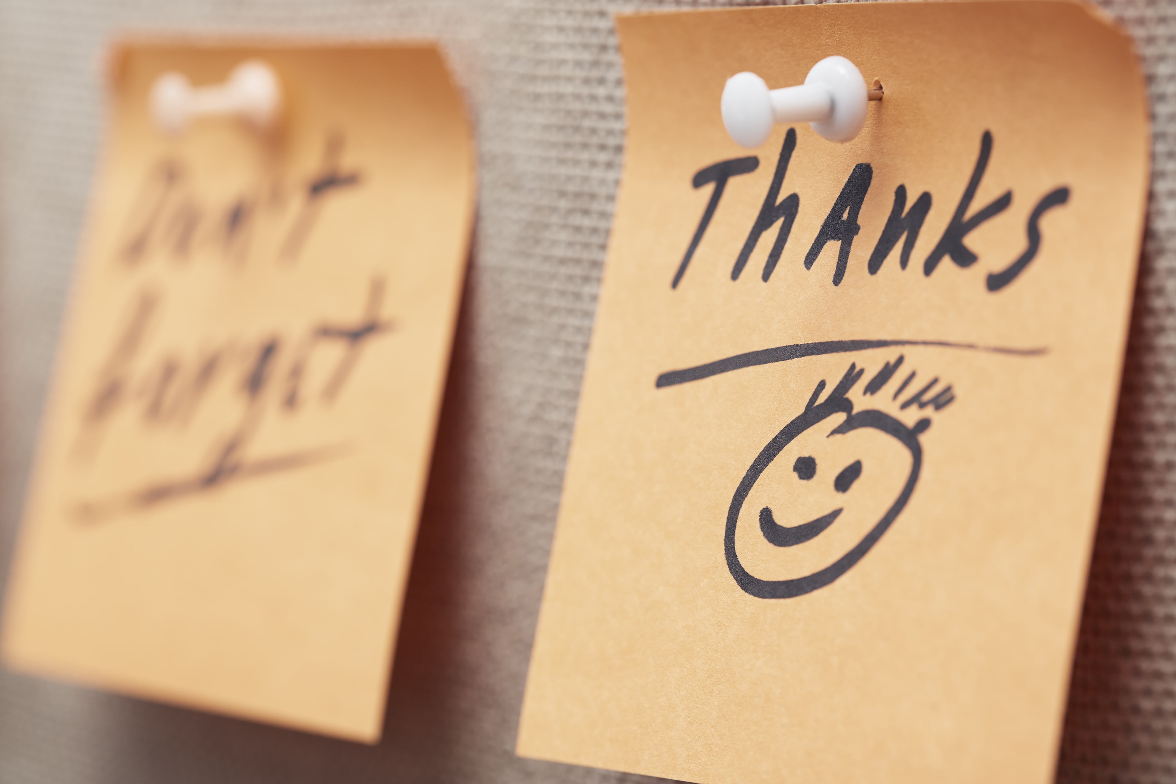 11 Ways to Show Appreciation to Employees Today